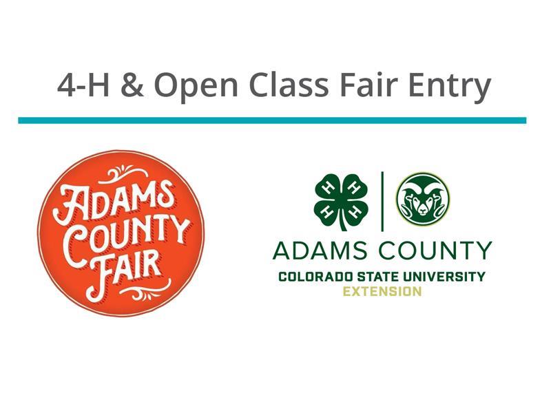 Logo for 2024 Adams County Fair